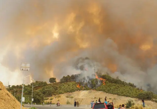 Feux de forêts à l’Est du pays : le Premier ministre se rend à El Tarf 