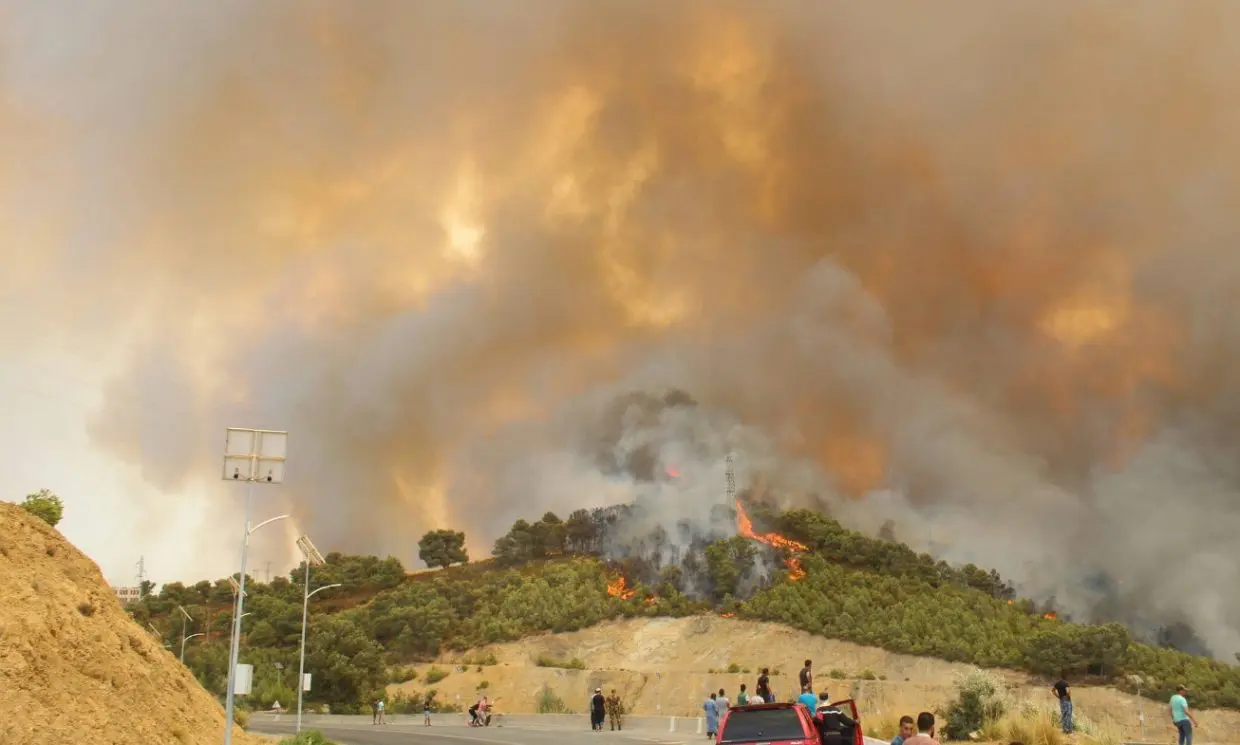 Feux de forêts à l’Est du pays : le Premier ministre se rend à El Tarf