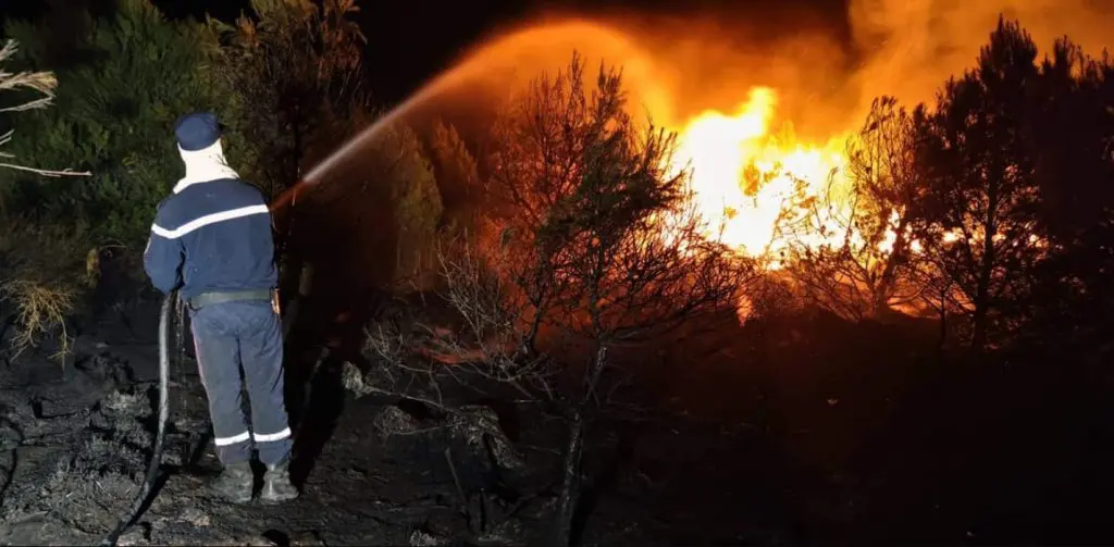 Incendies 2022 en Algérie : la Protection Civile fait le point