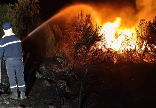 Incendies 2022 en Algérie : la Protection Civile fait le point