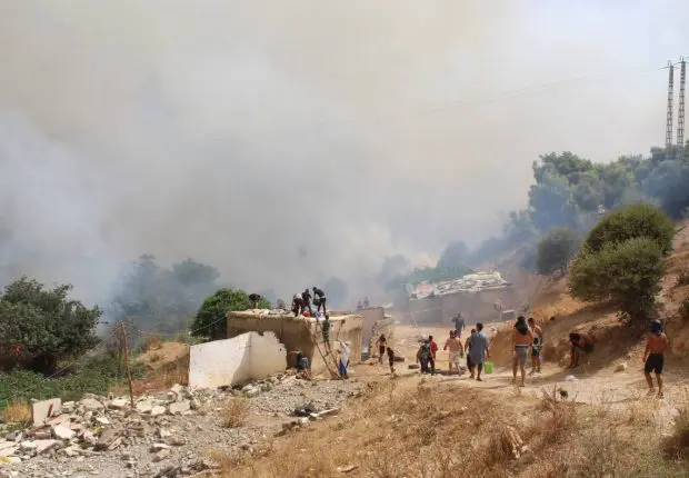 Feux de forêts 2022 en Algérie : ouverture d’enquêtes judiciaires