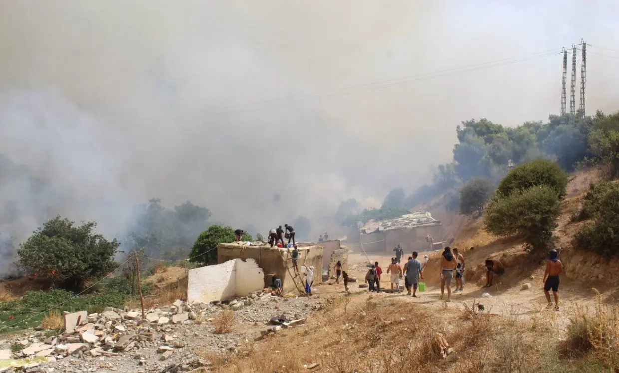 Feux de forêts 2022 en Algérie : ouverture d’enquêtes judiciaires