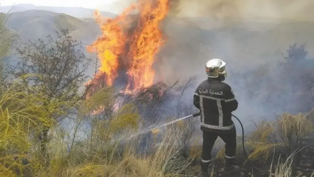 La grande majorité des foyers d’INCENDIES maitrisés (Ministère de l’Intérieur)