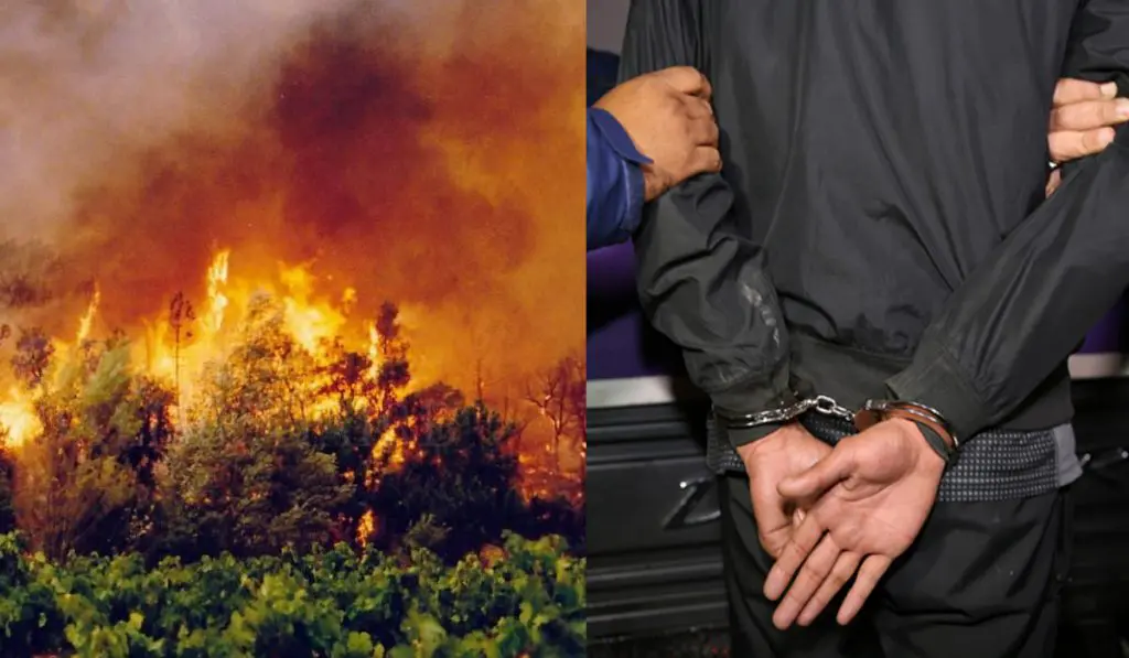 Incendies en Algérie : 5 suspects arrêtés à Ain Defla