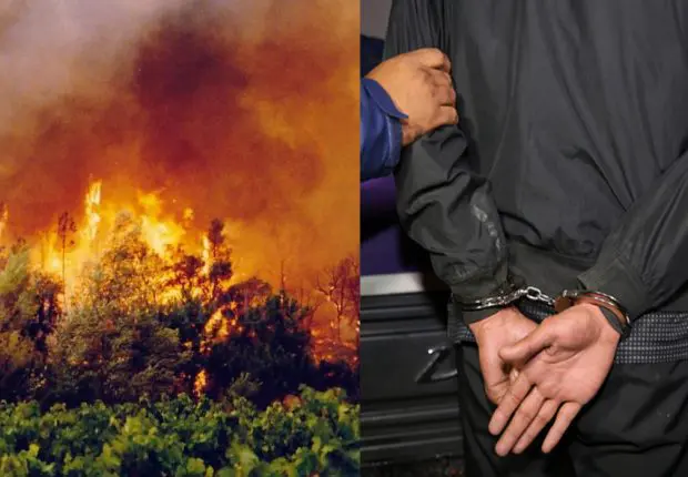 Feux de forêts Jijel : un nouveau suspect placé sous mandat de dépôt