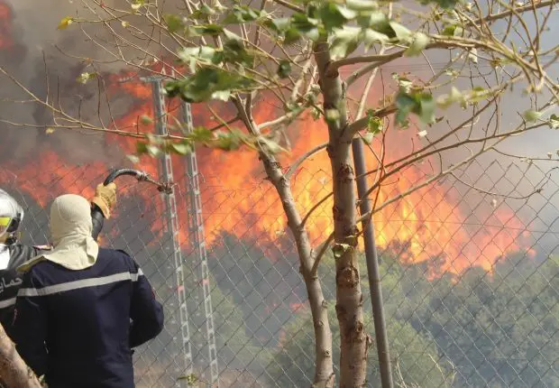 Feux de forêts à El Tarf et Souk Ahrass : le nombre de décès augmente
