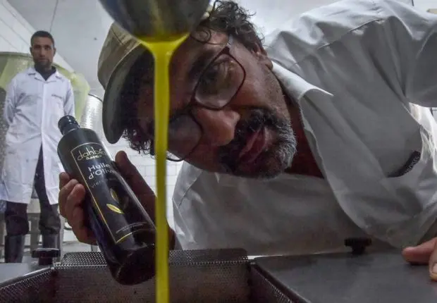 Une huile d&rsquo;olive algérienne remporte sa 2eme médaille d&rsquo;or à Dubaï