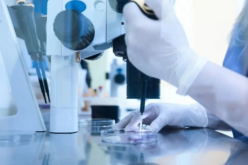 Fécondation in vitro (FIV) en Turquie : tout ce qu’il faut savoir