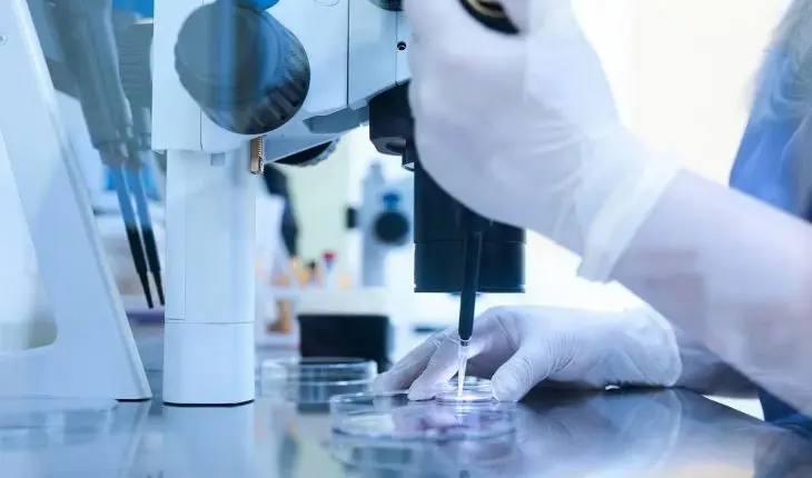 fécondation in vitro (fiv)