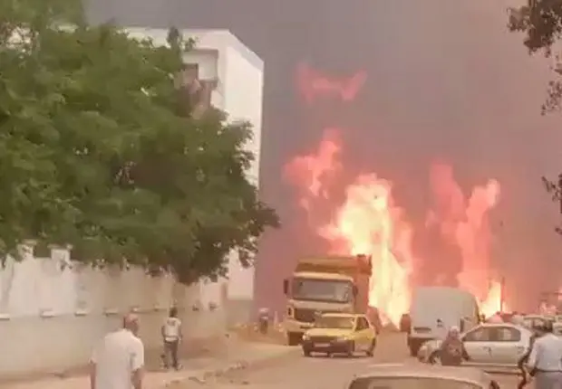 Feux de forêts à Souk Ahras : les flammes atteignent les habitations