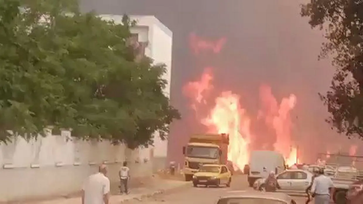 Feux de forêts à Souk Ahras : les flammes atteignent les habitations