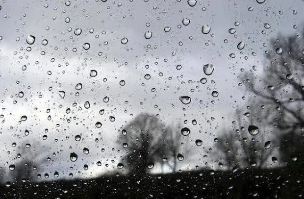 Météo Algérie : alerte pluies orageuses sur 19 wilayas ce 25 septembre