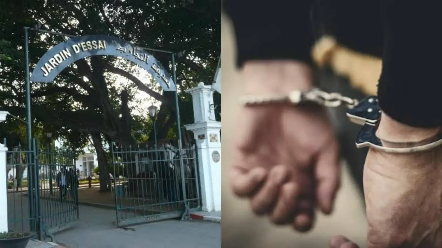 Trafic de drogue au Jardin d’essai : 2 hommes et 1 femme écroués