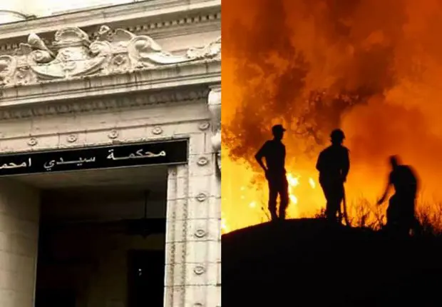 Enquête sur les incendies : la section antiterroriste prend le relais