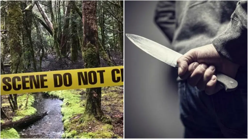 Crime crapuleux à Relizane : un jeune égorgé dans une forêt