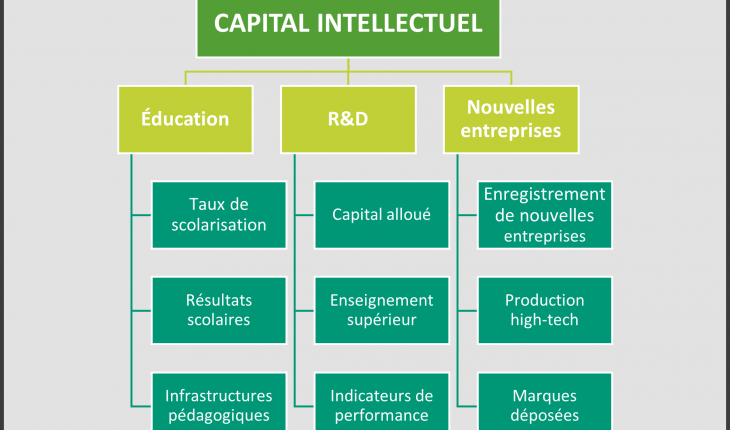 Constitution de l'indice du capital intellectuel