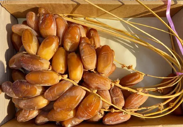 Arrêt de l’exportation des dattes : le démenti du ministère du Commerce