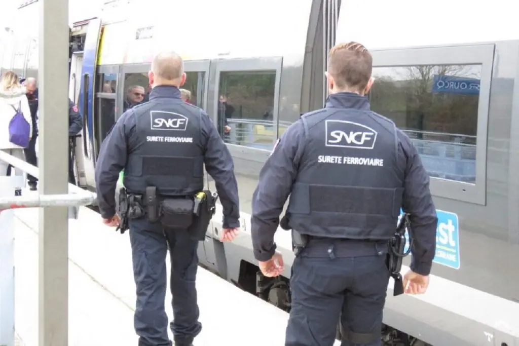Tentative de double agression déjouée : un Algérien arrêté en France