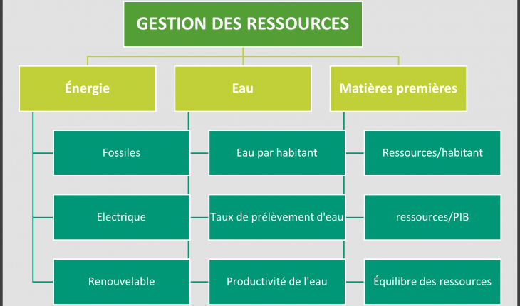 Indicateurs de l'indice de la gestion des ressources