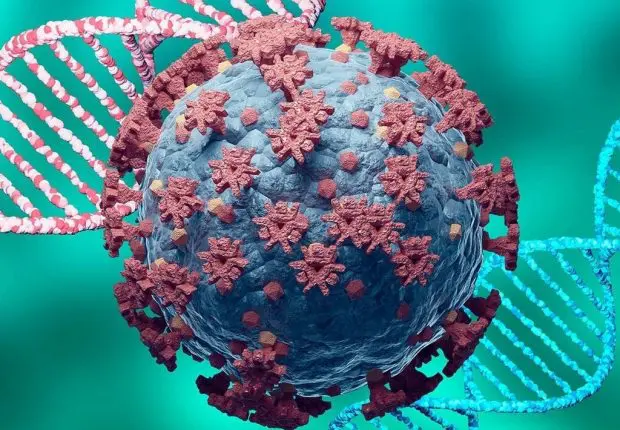 Covid-19 en Algérie : légère hausse du nombre de cas ce 28 septembre