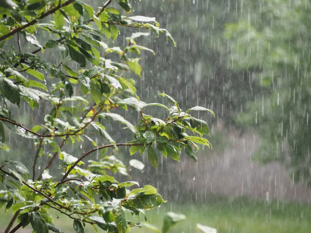 Météo Algérie : la pluie persiste sur 5 wilayas ce 2 septembre