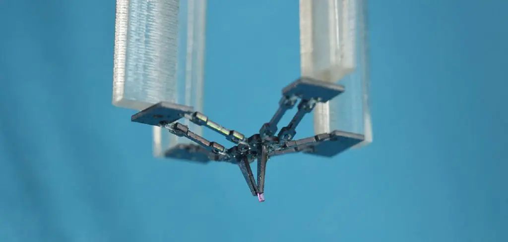 Un chercheur algérien invente le microrobot le plus rapide au monde