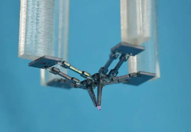 Un chercheur algérien invente le microrobot le plus rapide au monde