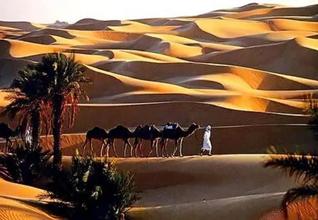 Mondial Qatar : promotion de l&rsquo;Algérie comme destination touristique