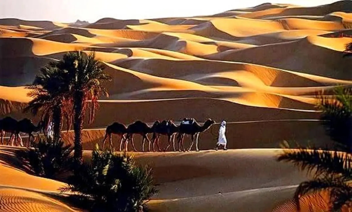 Mondial Qatar : promotion de l’Algérie comme destination touristique