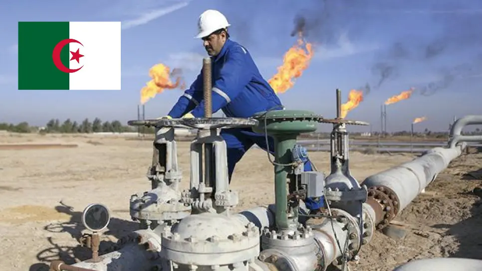 Découvertes de pétrole et gaz : l’OPAEP classe l’Algérie 1ère en 2022