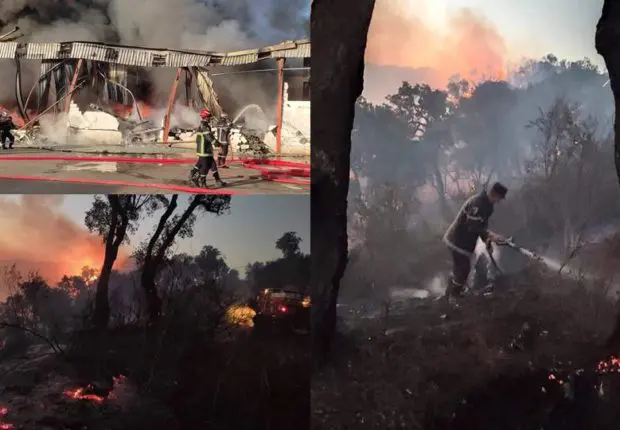 Les feux de forêts de retour : 3 wilayas touchées