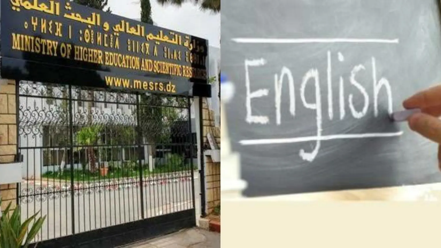 Programme de formation en anglais pour les professeurs d’université