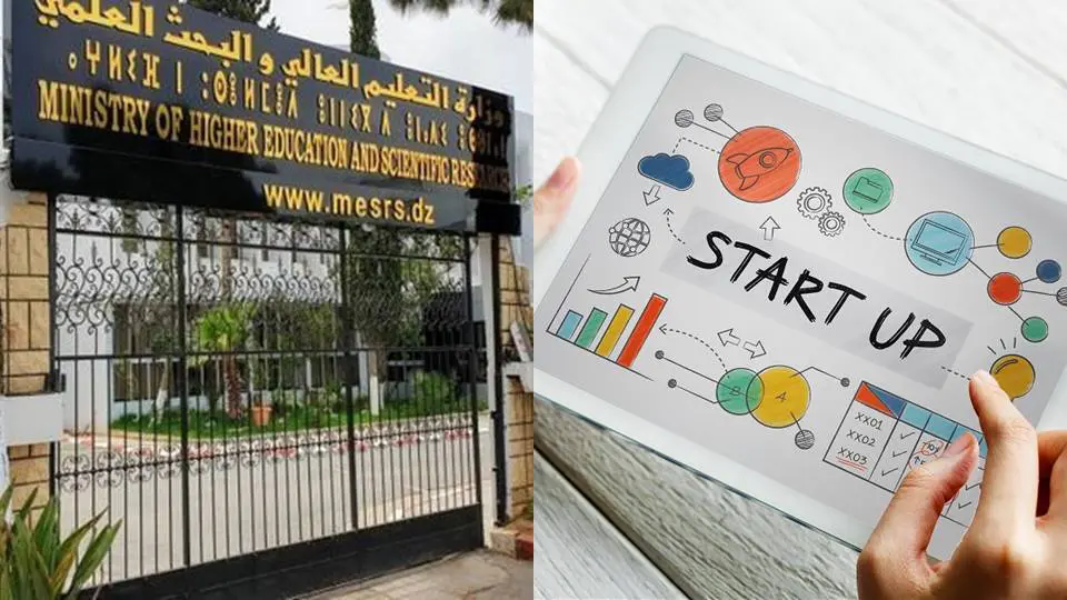 Startups et étudiants : quelles nouveautés pour cette année ?