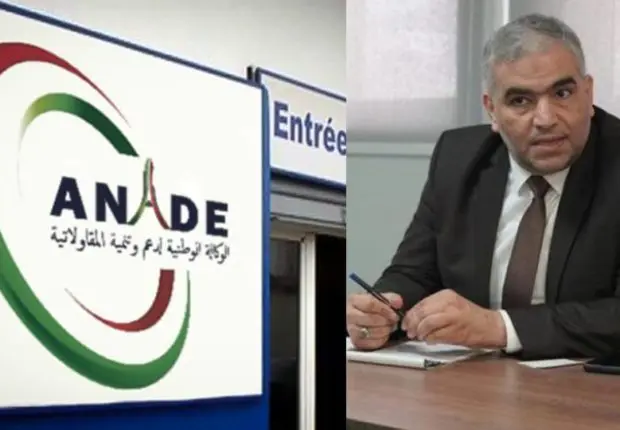 Fin de fonctions pour le DG de l’ANADE, Mohamed Cherif Bouziane