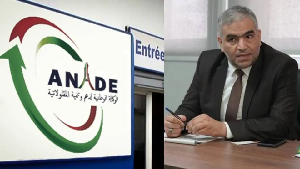 Fin de fonctions pour le DG de l’ANADE, Mohamed Cherif Bouziane