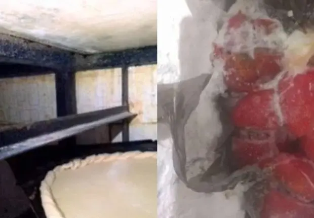 Hygiène alimentaire : les images sordides de l’inspection à Souk Ahras