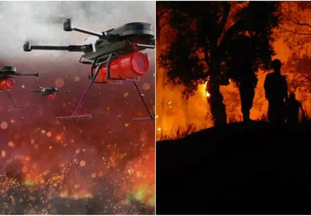 Lutte contre les incendies en Algérie : vers l’acquisition de drones