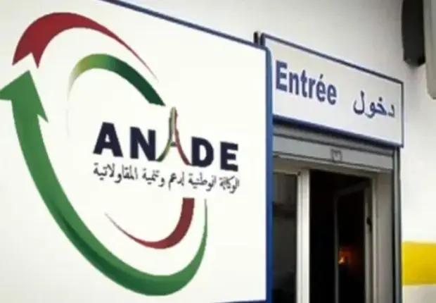 Financement de projets : l’ANADE (ex-Ansej) annonce du nouveau
