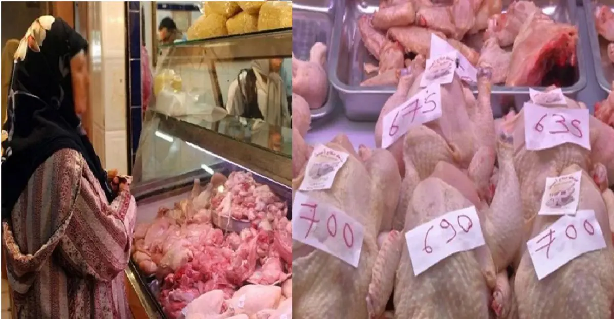 Flambée des prix de la viande blanche : nouvelle stratégie pour 2023 ?