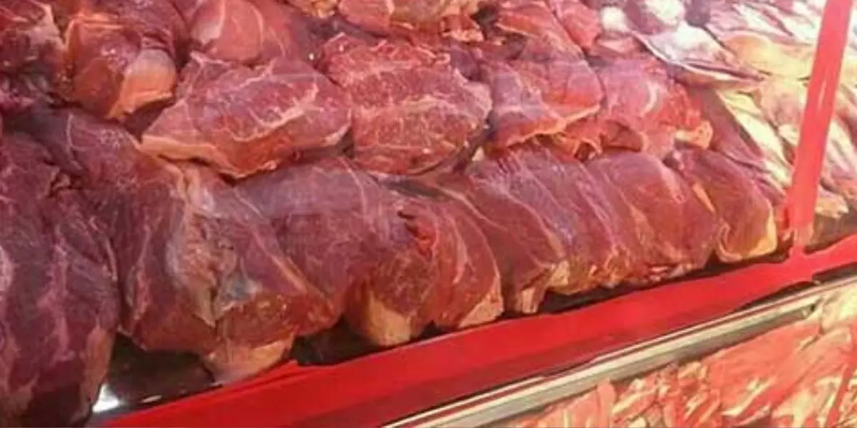 Oran : découverte d’un atelier clandestin vendant de la viande avariée