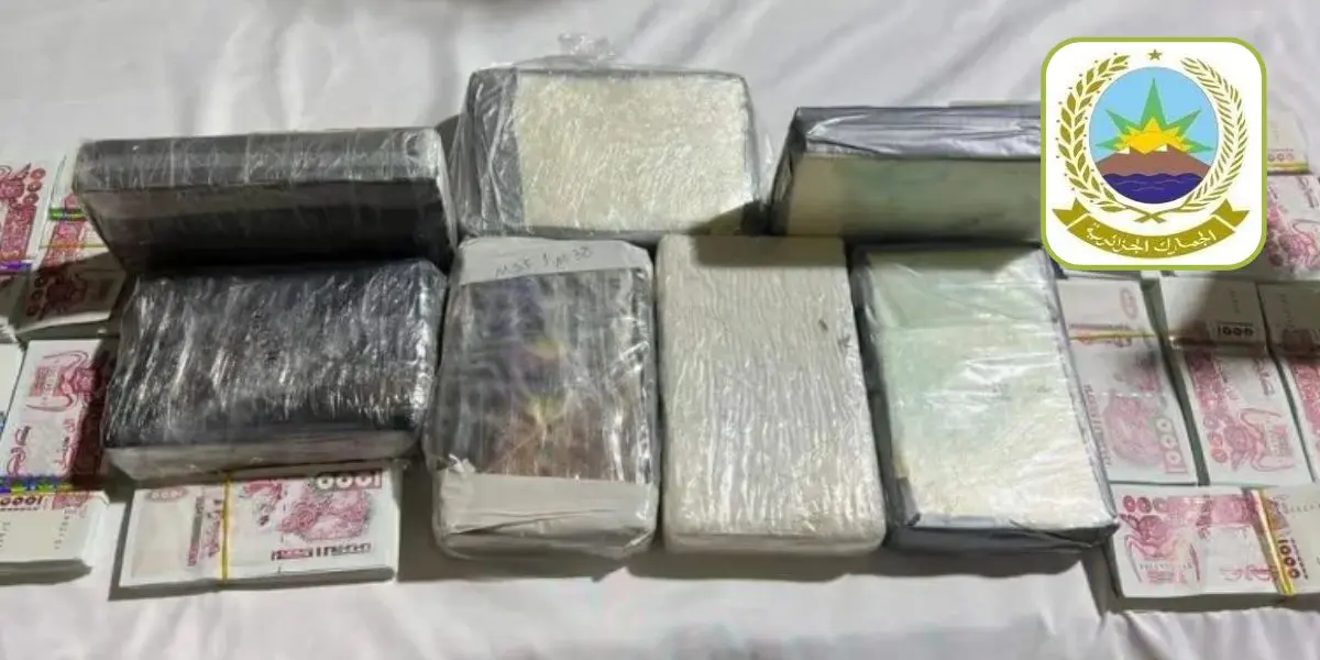 Importante saisie de faux billets et de cocaïne au Port d’Alger