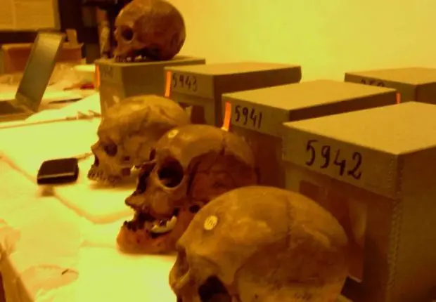 Restitution des crânes algériens : le débat relancé en France