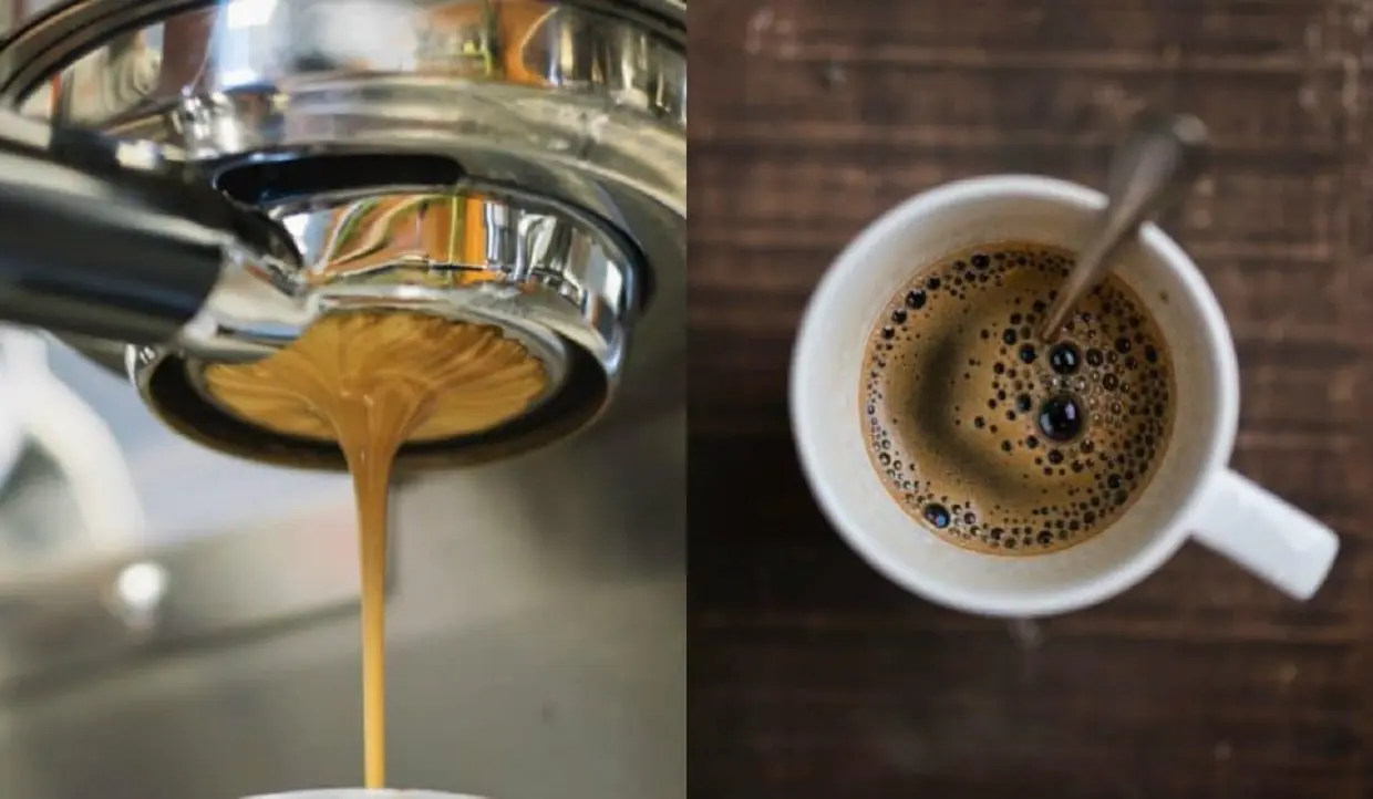 Les meilleurs cafés à Alger selon un voyageur américain