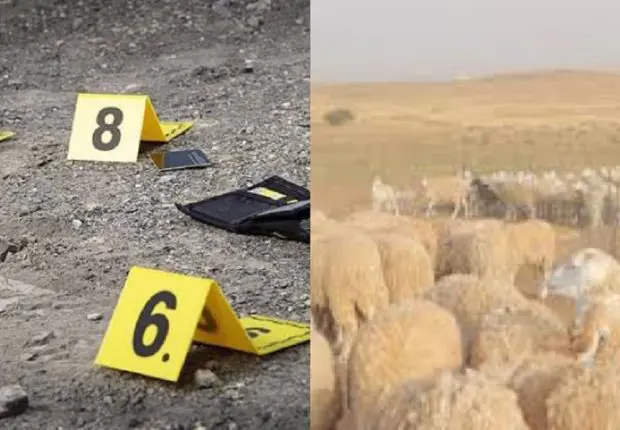 El-Taref : un éleveur de bétail assassiné dans une forêt