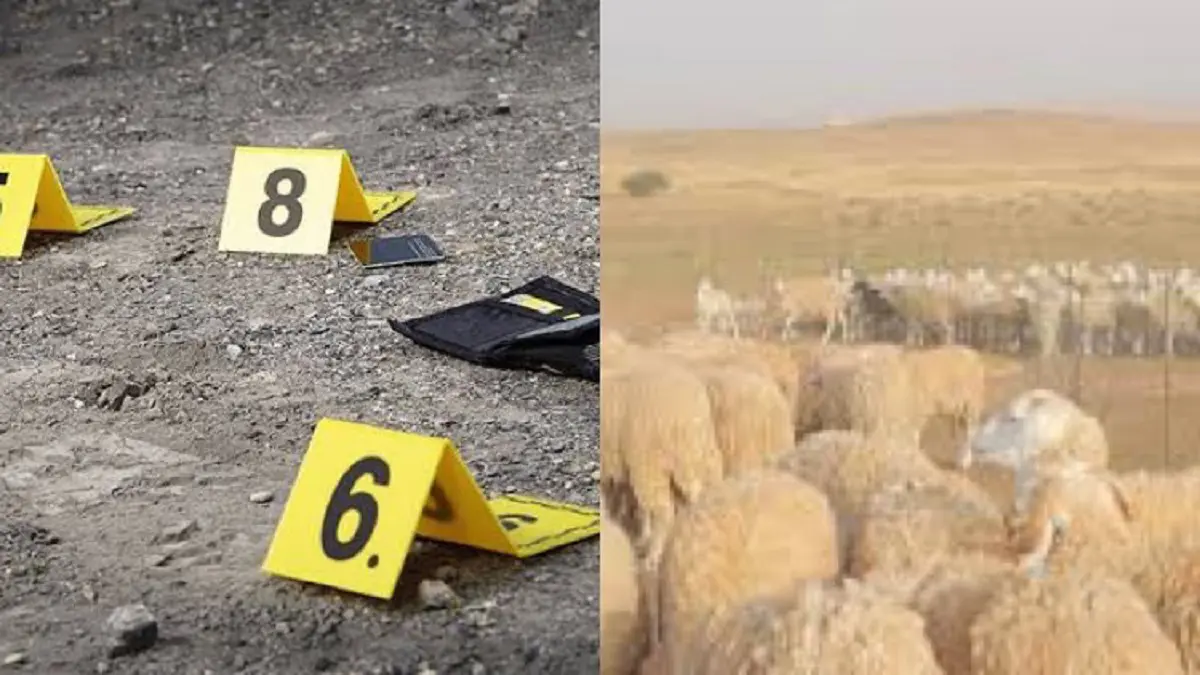 El-Taref : un éleveur de bétail assassiné dans une forêt