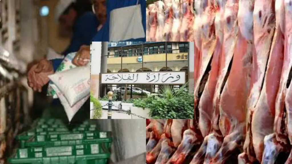 Développement filières lait et viande rouge : les mesures du ministère