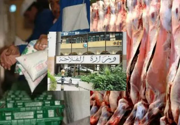 Développement filières lait et viande rouge : les mesures du ministère