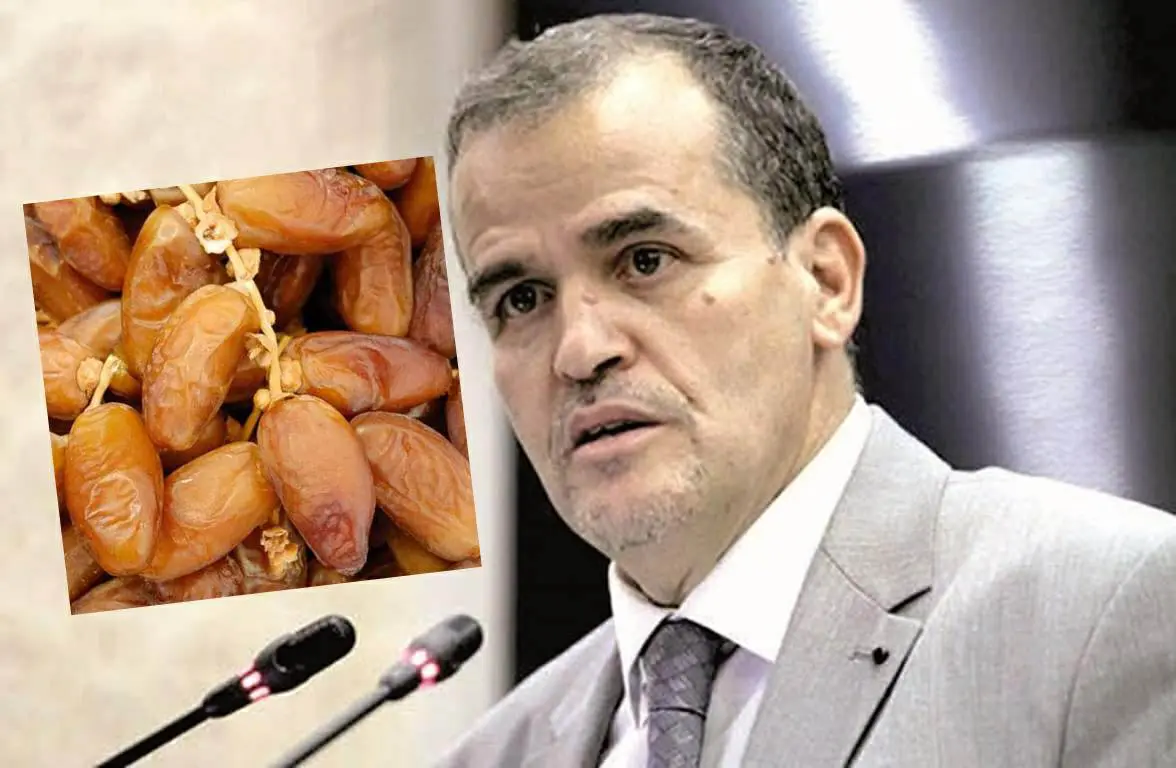 Exportation de dattes algériennes : Rezig affiche ses ambitions