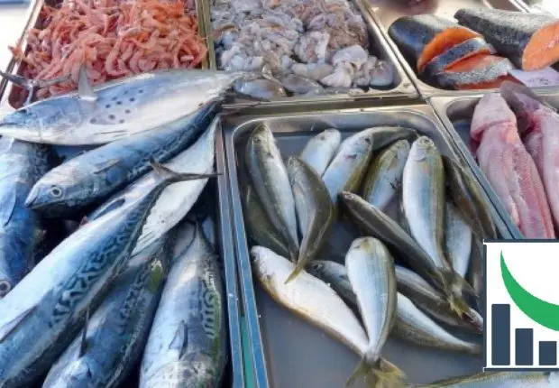 Prix du poisson en Algérie : vers une baisse en 2023
