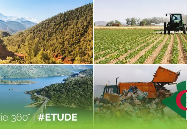 Indice du capital naturel : quel classement pour l’Algérie ? (étude)